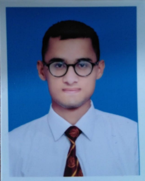 Adeel Malik